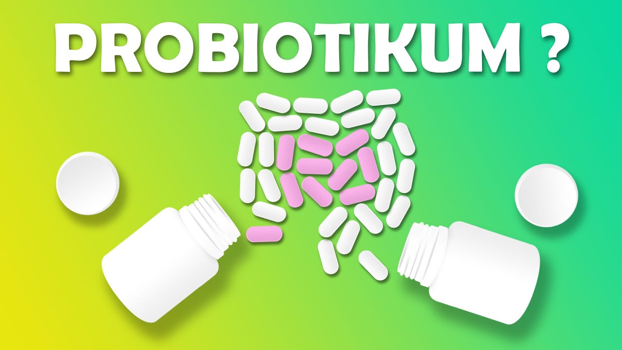 🦠 Mik a PROBIOTIKUMOK? Mire jók? és miben találjuk meg őket?