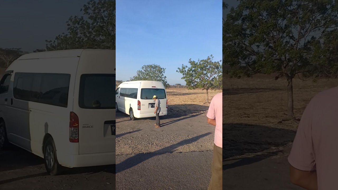Afrika Van Java