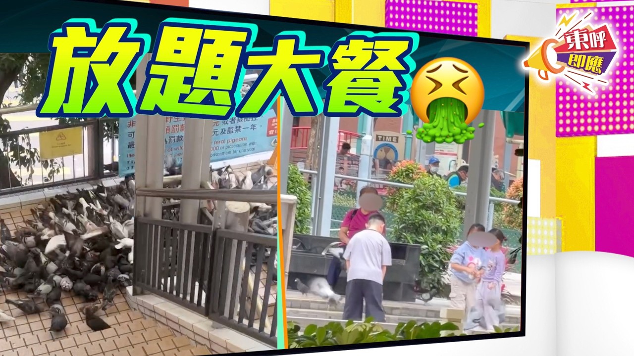 【on.cc東網】東呼即應：逾百野鴿天橋聚集開餐　嚇窒途經民眾要兜路行
