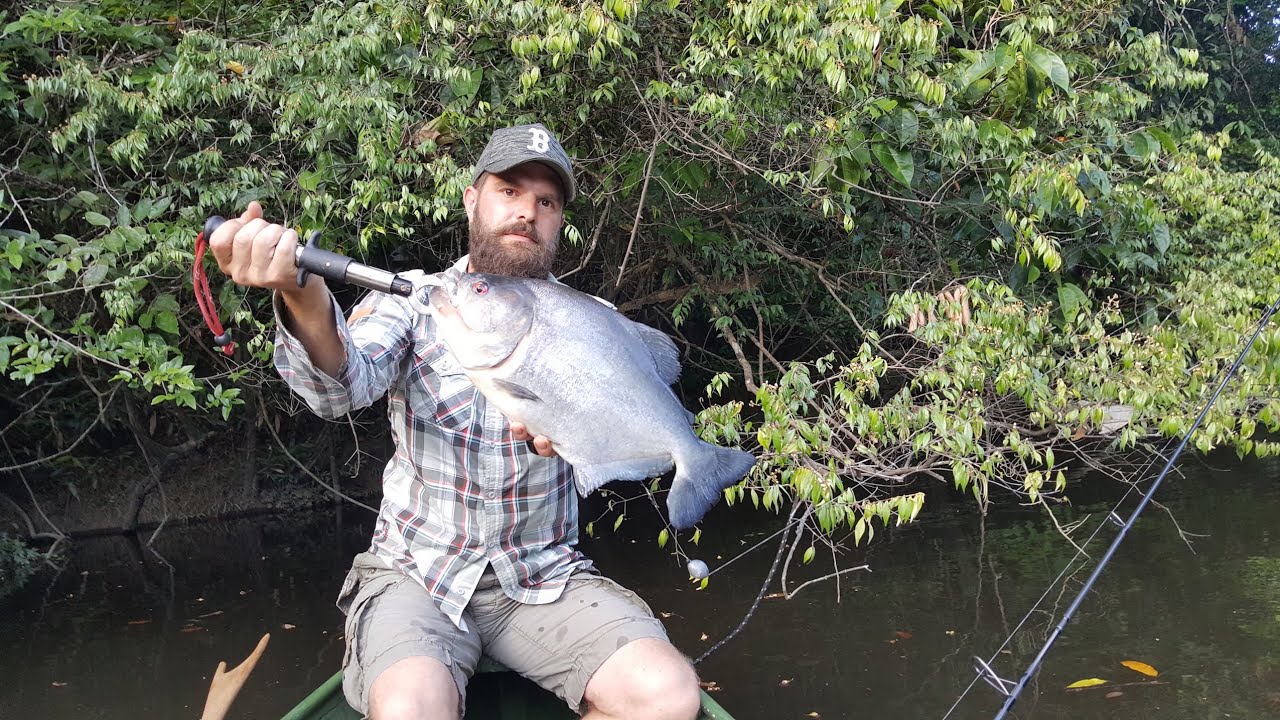 Weekend Pêche Piranhas Noirs Guyane 2018