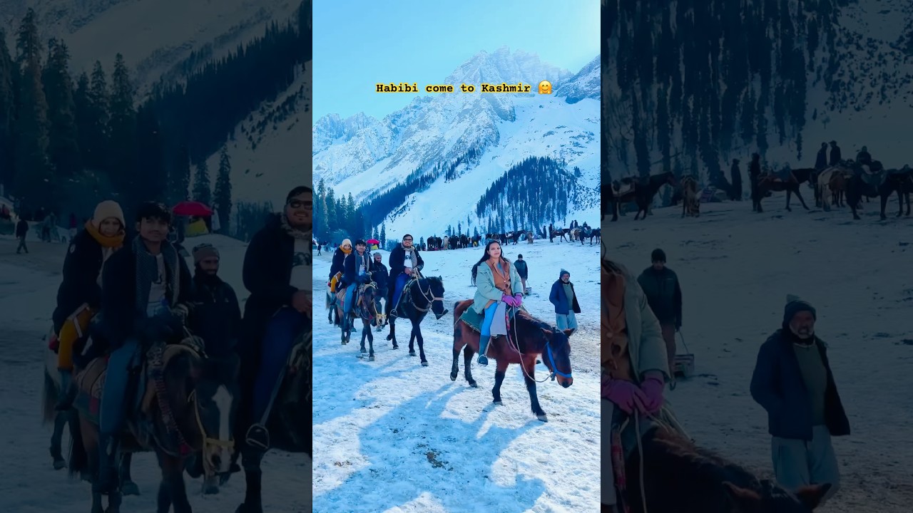 Sonamarg Kashmir🍁 