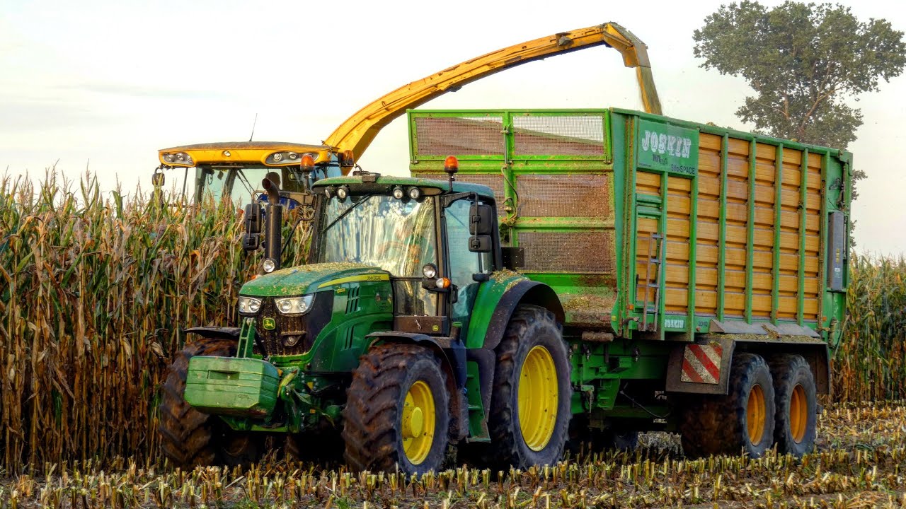 🔥KISZONKA Z KUKURYDZY 2020 NA WIELKĄ SKALĘ🔥GR. SOŁTYSZEWSKI🔥JohnDeere 6175M & JohnDeere 6155M🔥