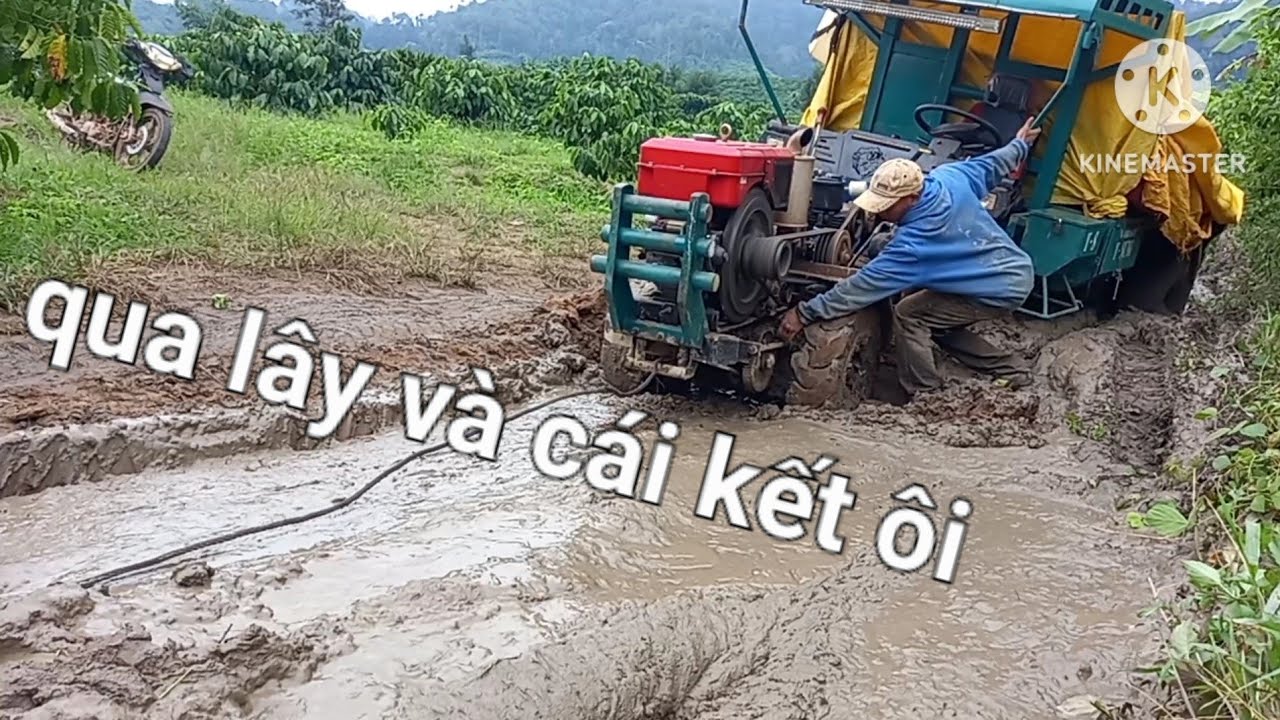 Xe công nông chờ lúa