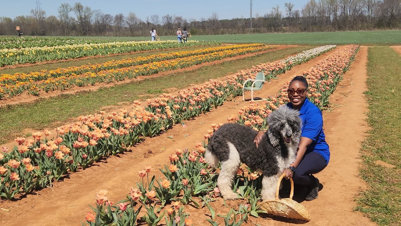 Food , Farming & Agri-Culture:  Hubbert Family Farm 