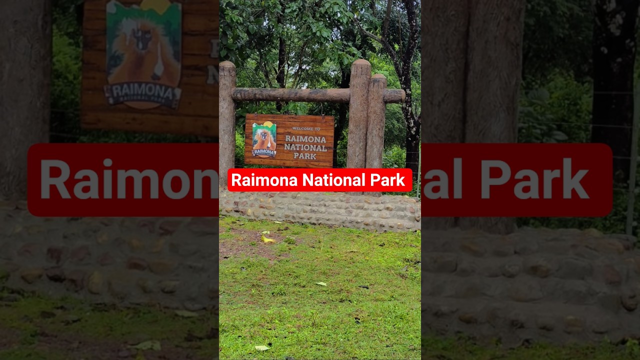 Raimona National Park Jeep Ride 