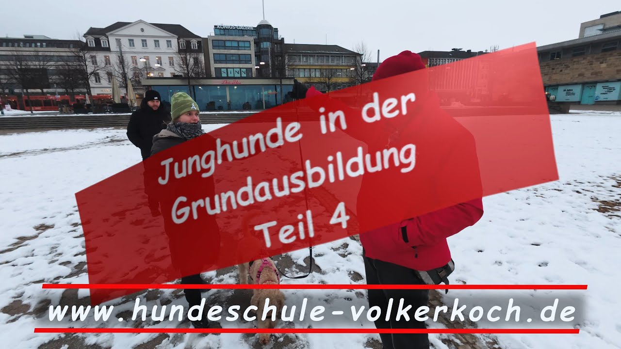 MODULSYSTEM IN DER JUNGHUNDE GRUNDAUSBILDUNG TEIL 4