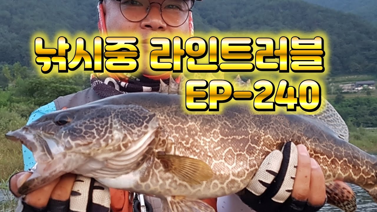 쏘가리 낚시 라인 엉킴 이유 EP-240