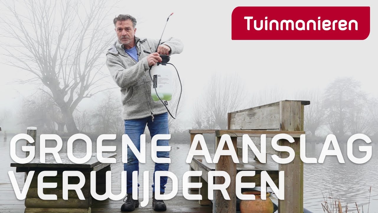 Hoe verwijder je groene aanslag van schutting of vlonder | Tuinmanieren