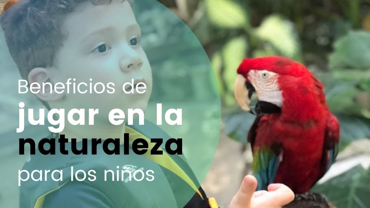 Beneficios de Jugar en la naturaleza para los niños