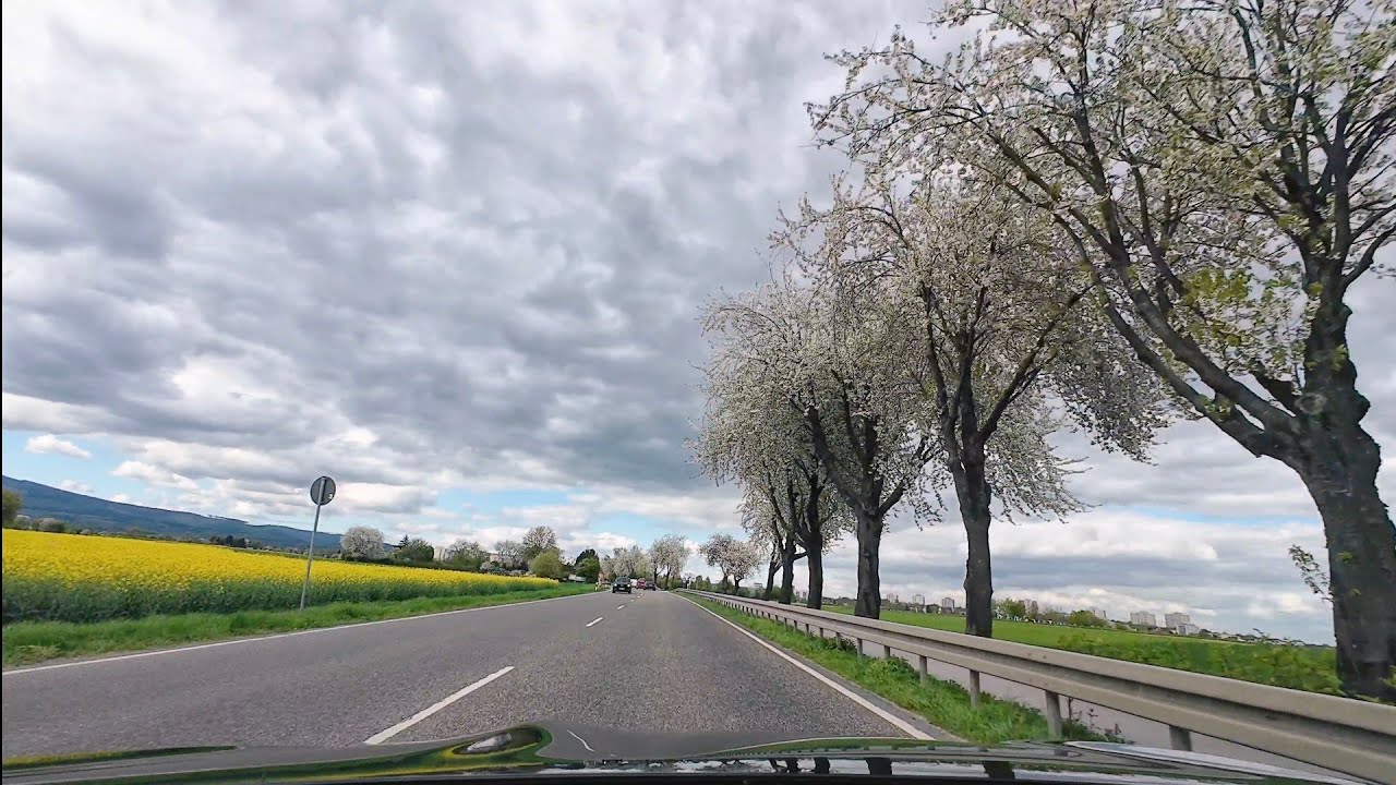 Driving in Germany 🇩🇪 from the City of Science #Darmstadt to Frankfurt and Steinbach am Taunus #vlog