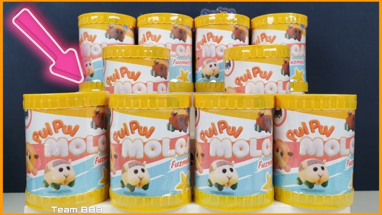 PUI PUI MOLCAR! New Fuzmols Mystery Collectibles Guinea Pig Cars Japanese Stop Motion Cartoon toys