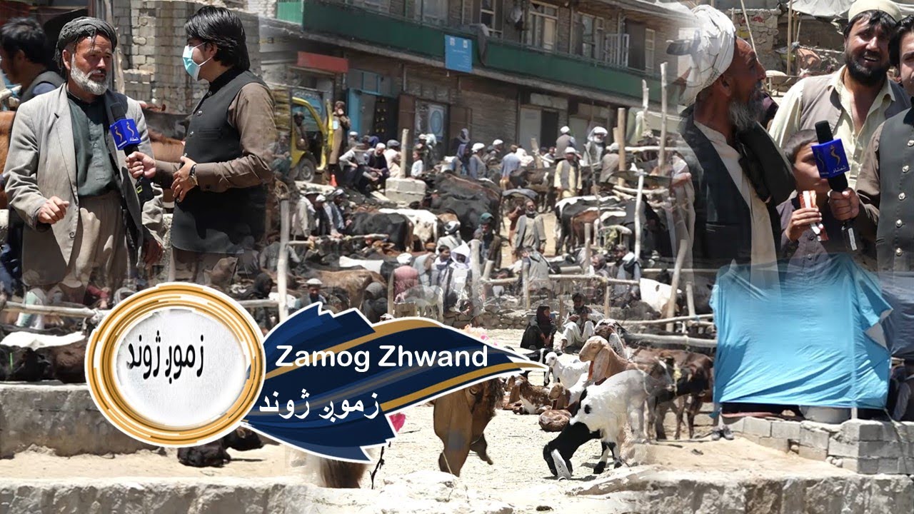The prices of Cows and Goats (Livestock Prices) , Kabul City | د څارویو او مالونو قیمتونه