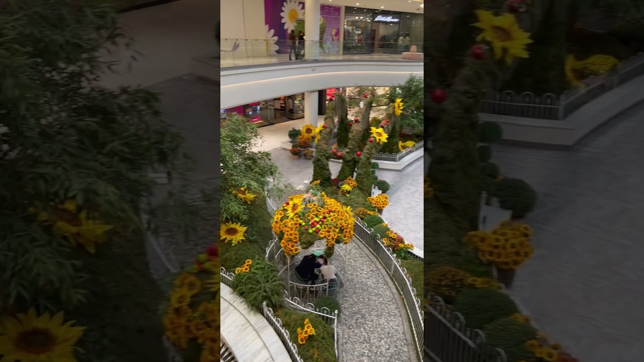 Dream America Mall #dream #america #ytviral