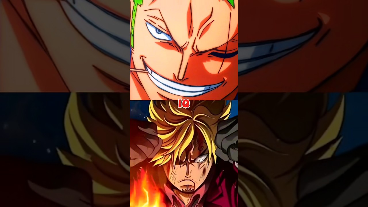 Zoro vs Sanji: The Debate is FINALLY Over! 