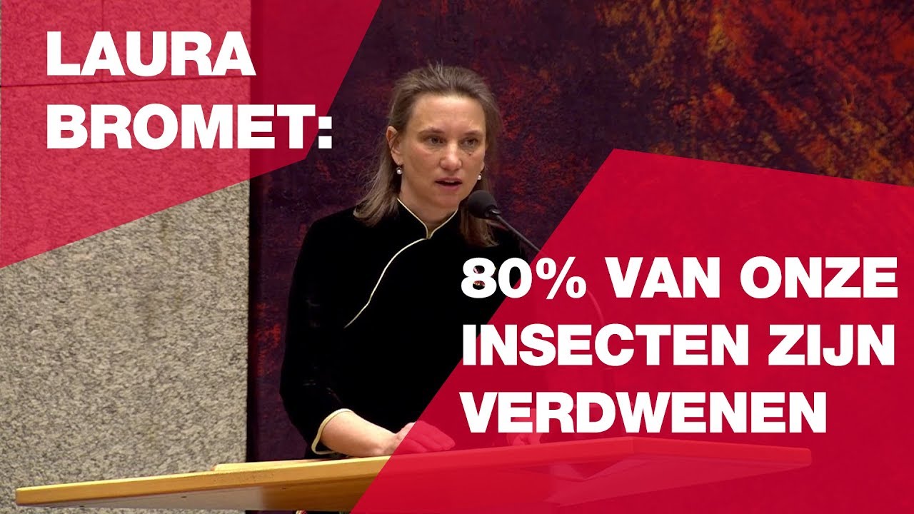 Laura Bromet: 