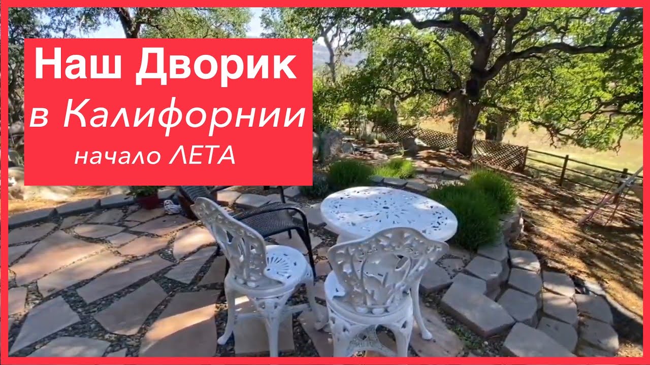 Как выглядит наш двор в Калифорнии. Засухоустойчивые цветы. Неприхотивые многолетники.