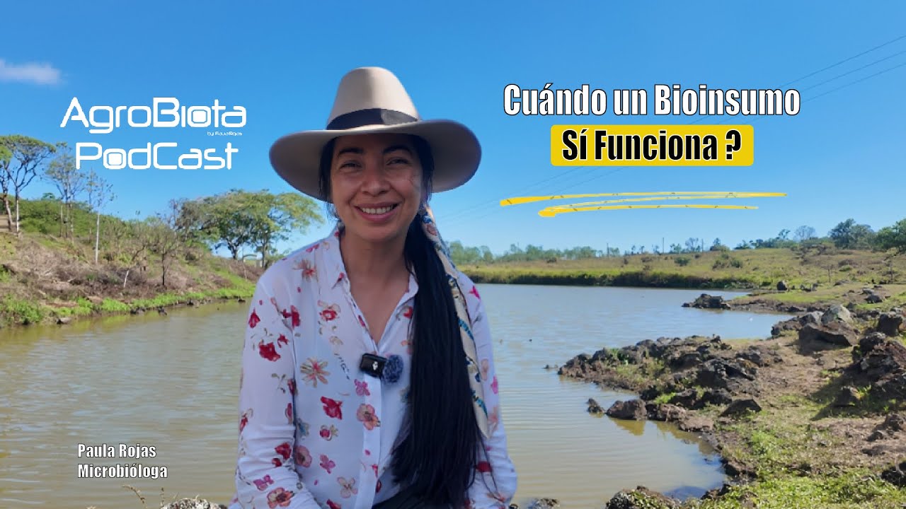 Por qué a veces funciona y a veces No funciona un Bioinsumo.