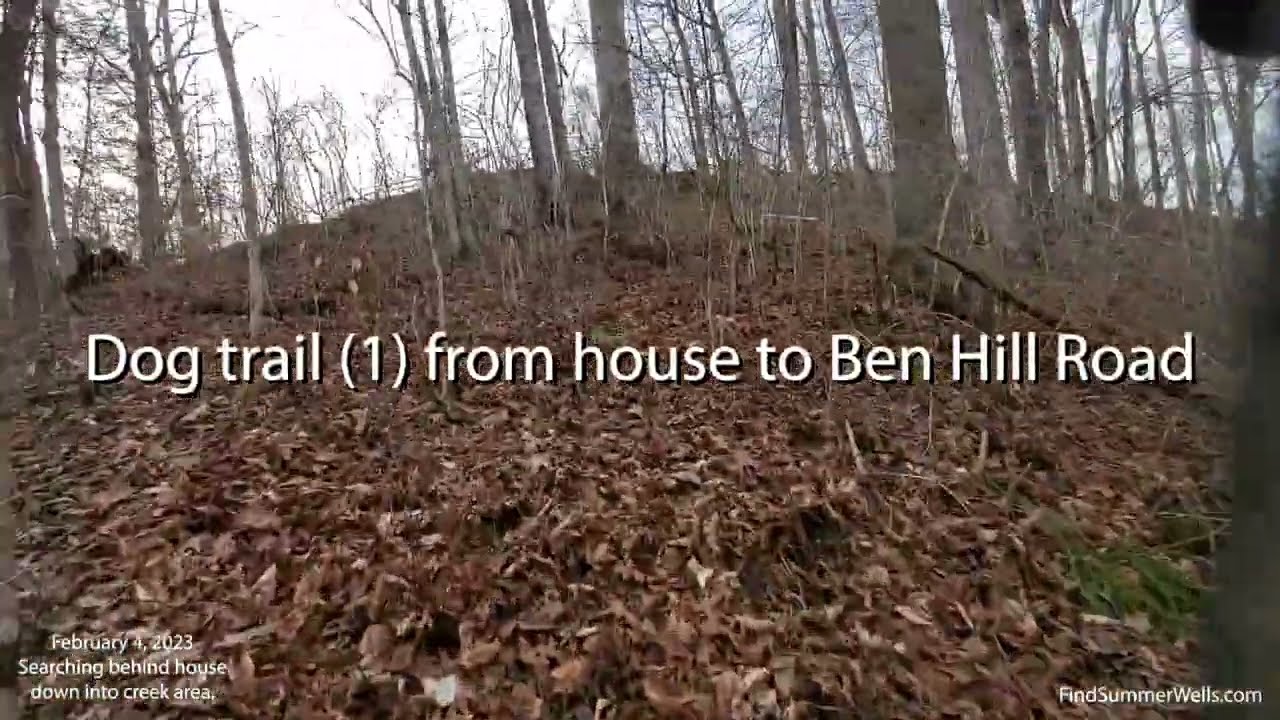 Summer Wells : Part of Property Search : February 4, 2023
