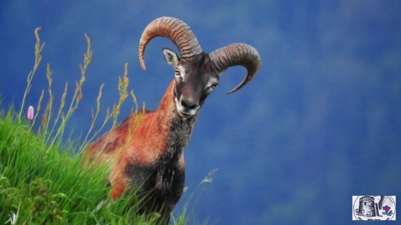 LIZZANO IN BELVEDERE BO  - Appennino Bolognese - Corno Alle Scale