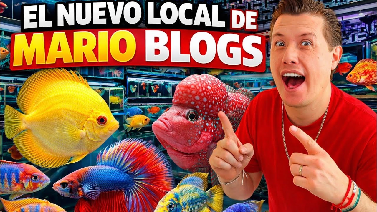 La INAUGURACDION DEL nuevo LOCAL de Mario BLOGS en Mercado de los peces garibaldi