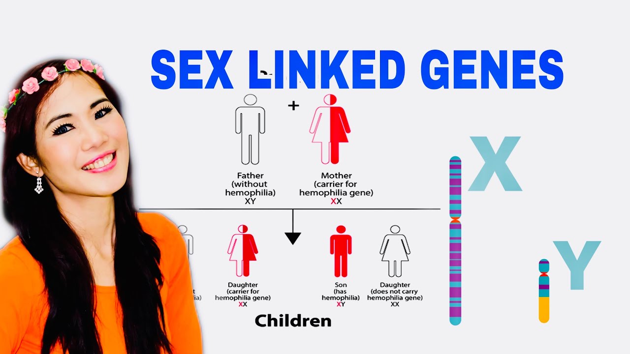 X and Y LINKED GENES