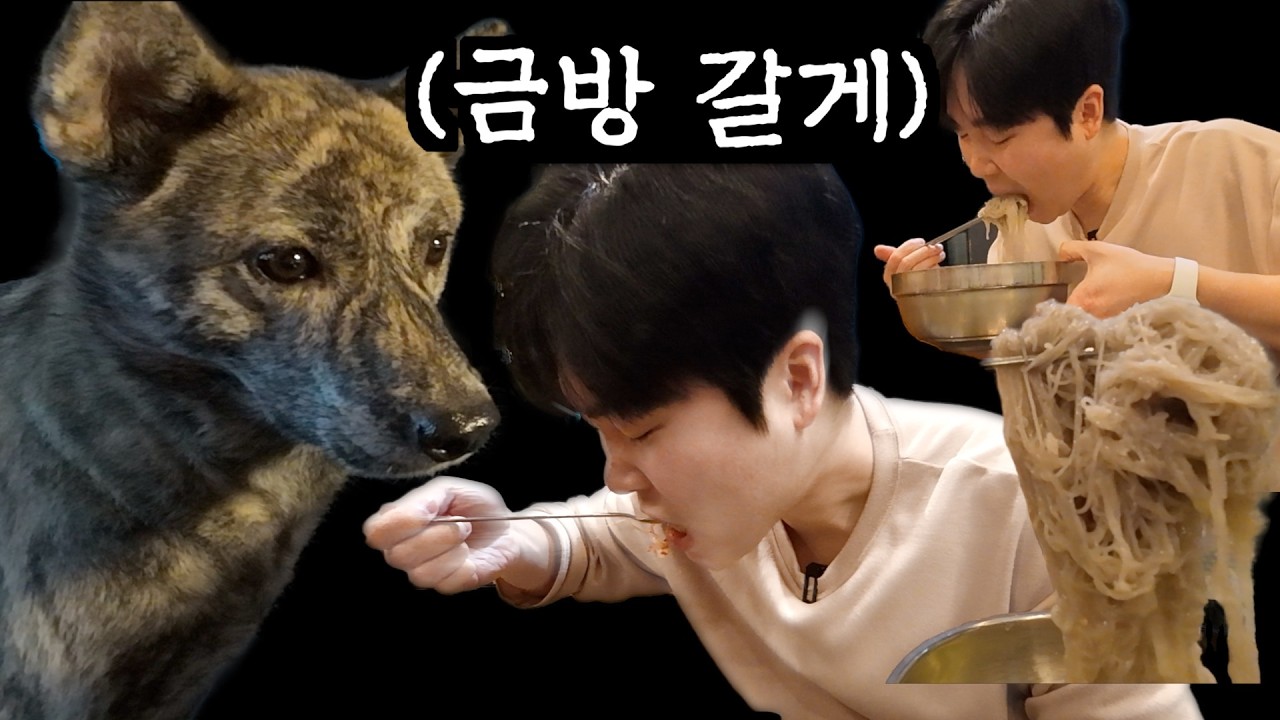 그저 1시간 컷 했을 뿐인데..