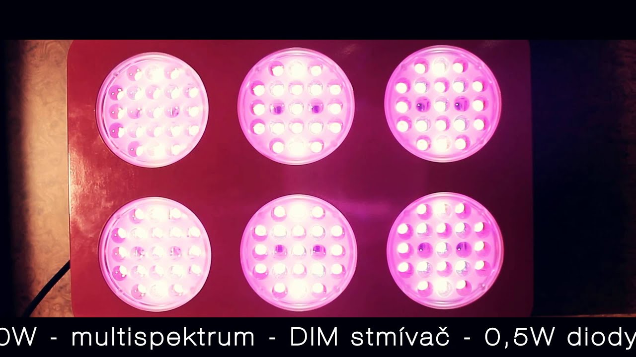 mazar LED systems&reg; profi LED grow lights