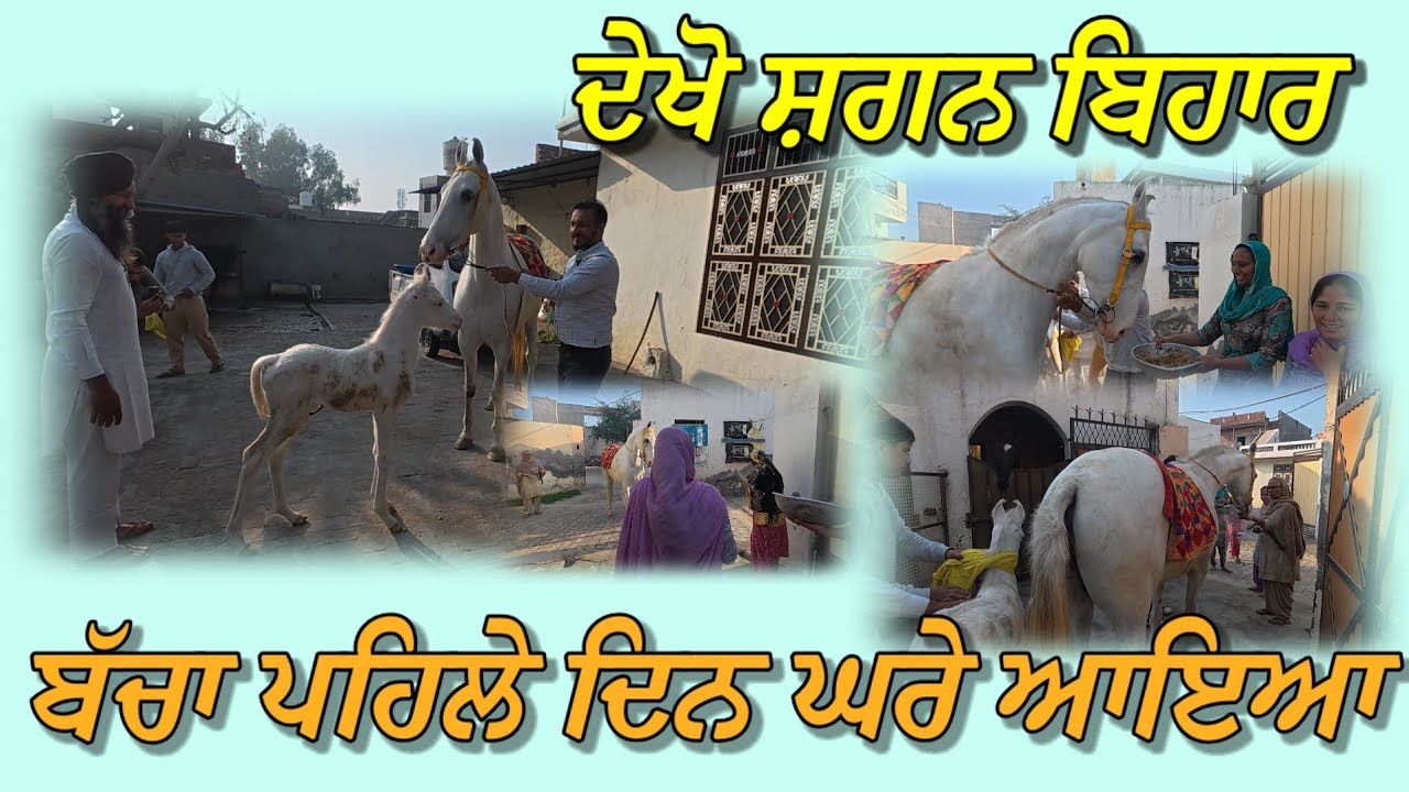 ਪਹਿਲੀ ਵਾਰ ਜੁਗਨੀ ਦਾ ਬੱਚਾ ਆਪਣੇ ਘਰੇ ਆਇਆ,, ਕੀ ਕੀ ਸ਼ਗਨ ਕੀਤੇ ਸਾਡੇ ਘਰਦਿਆਂ ਨੇ 