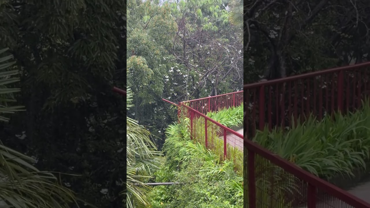 🌧️ Mussoorie Weather Today | Saiyaara ❤️ | Poora Hai Mujhme Mujhme Tu Aadha | Romantic Song #shorts