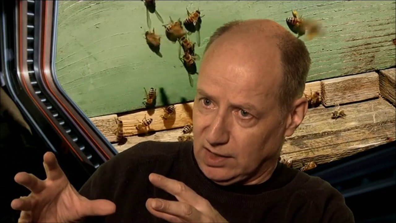 Der Geist der Bienen, 10 vor 11, dctp