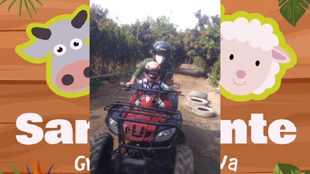 GRANJA INTERACTIVA FUNDO SAN VICENTE🌳🌱🐴🐐🦙🐑🐰🐦❤️