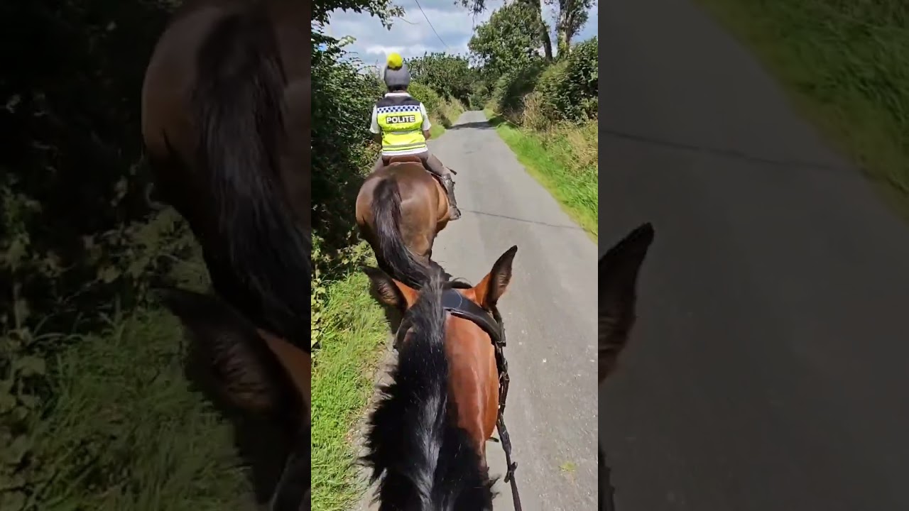 A day in the life of a horse riding instructor