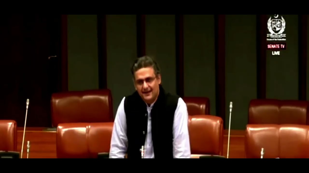 Faisal Javed Speech in Senate 8 Nov 2025 #Amendment #People #ImranKhan 