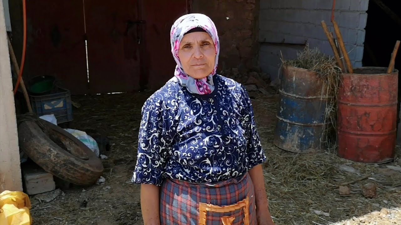 روتين لالة حادة مع الدجاج و جمع البيض في البادية