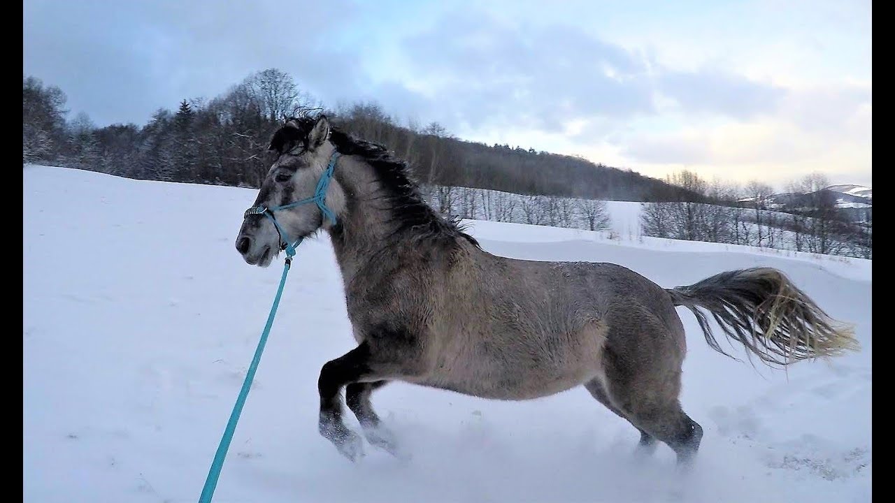 Zimní radovánky s Kristy.M Ranch //chill video//
