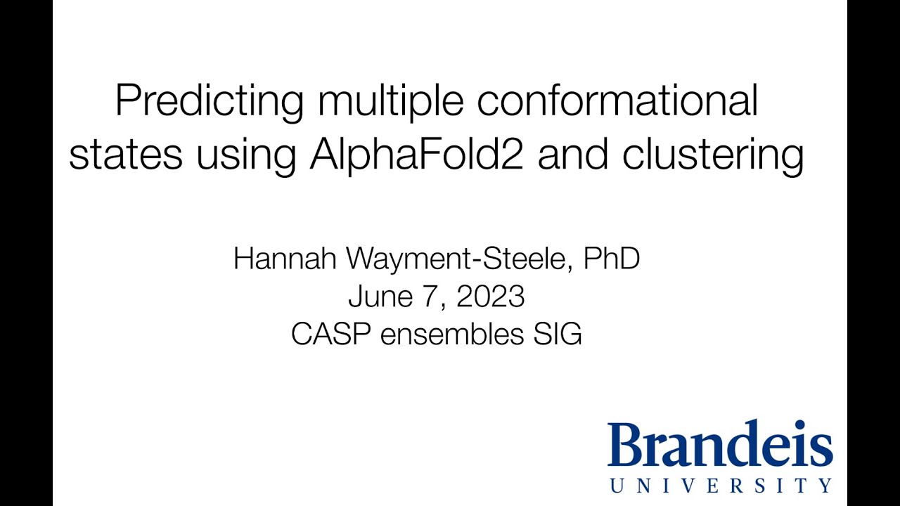 Hannah Wayment Steele & Rhiju Das: CASP SIG on Modeling Conformational Ensembles