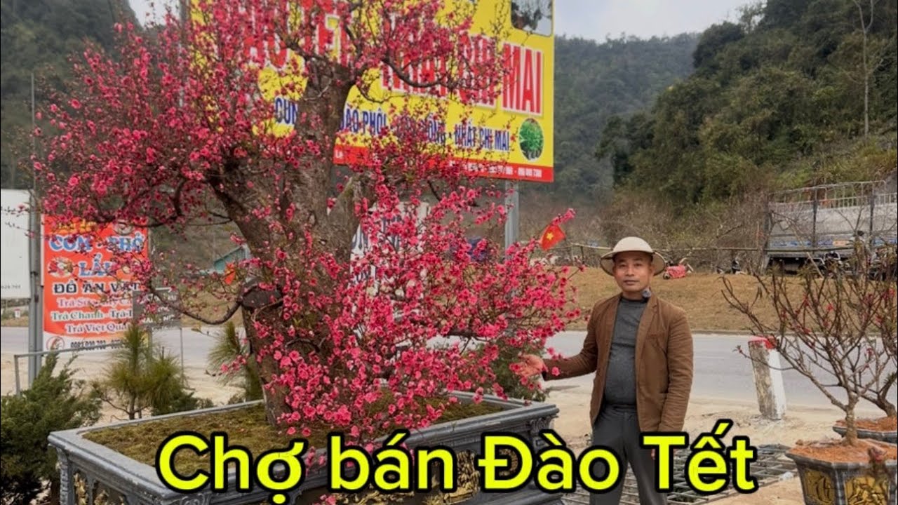  Chợ Bán Đào Tết 