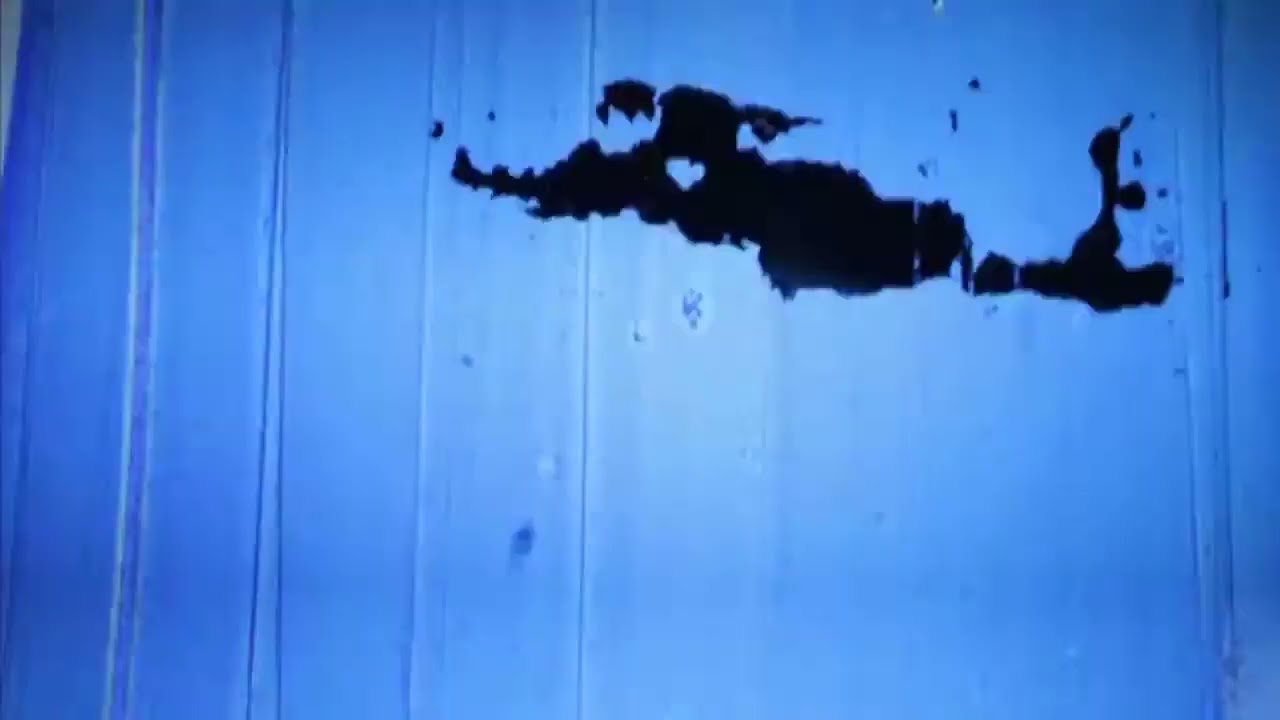 DIRECTIONS BUVETTE PAN EUROPEAN RECORDING 2012