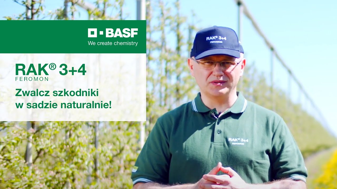 Sprawdź, jak naturalnie zwalczyć szkodniki w sadzie