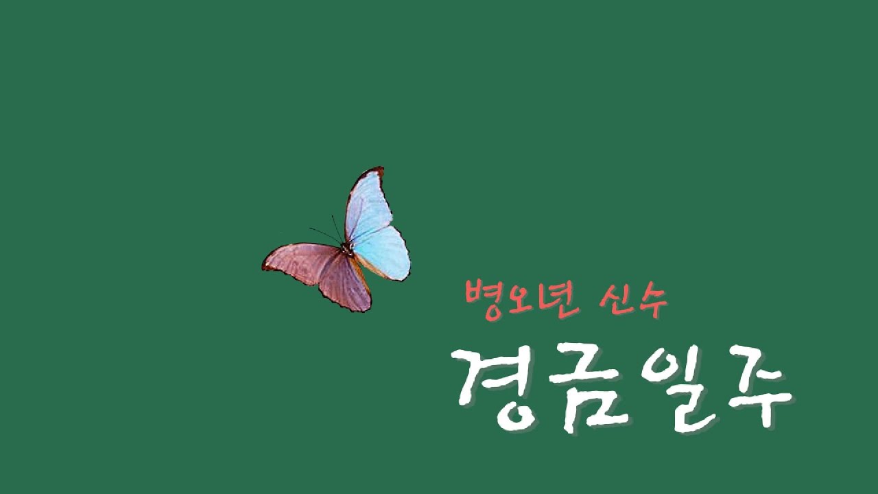병오년 신수   경금