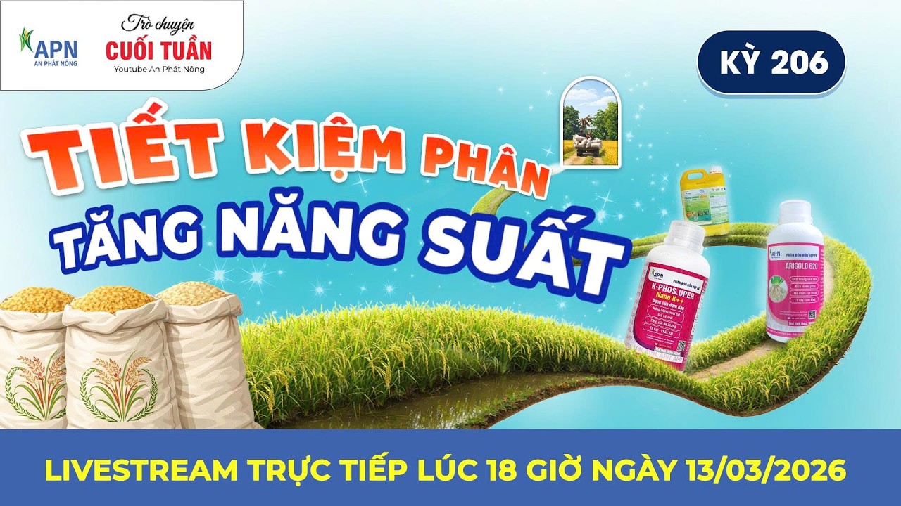 APN - TIẾT KIỆM PHÂN TĂNG NĂNG SUẤT | TRÒ CHUYỆN CUỐI TUẦN KỲ 206