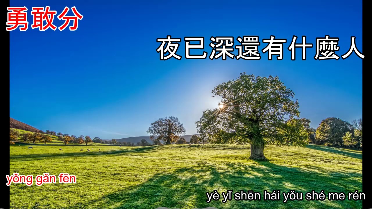 傷痕 - 林憶蓮 Shang hen - karaoke