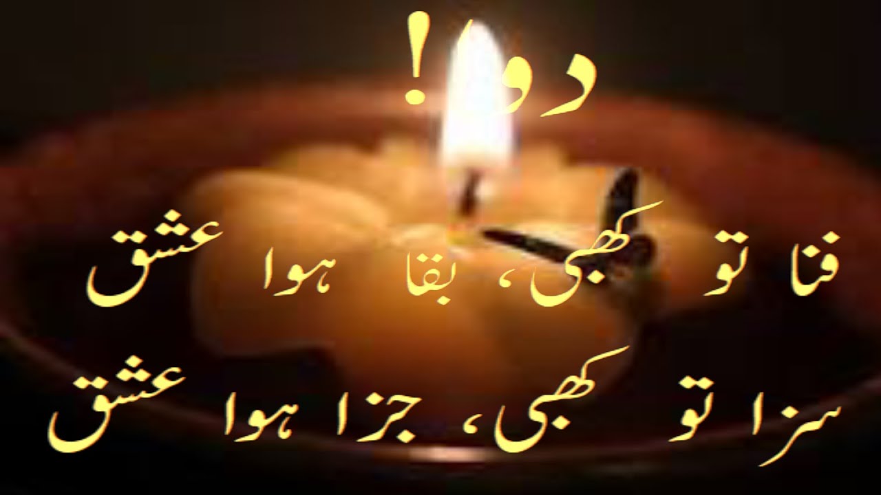 DWAA | LOVE CAN DESTROY ONE OR BULD ONE AT THE SAME TIME