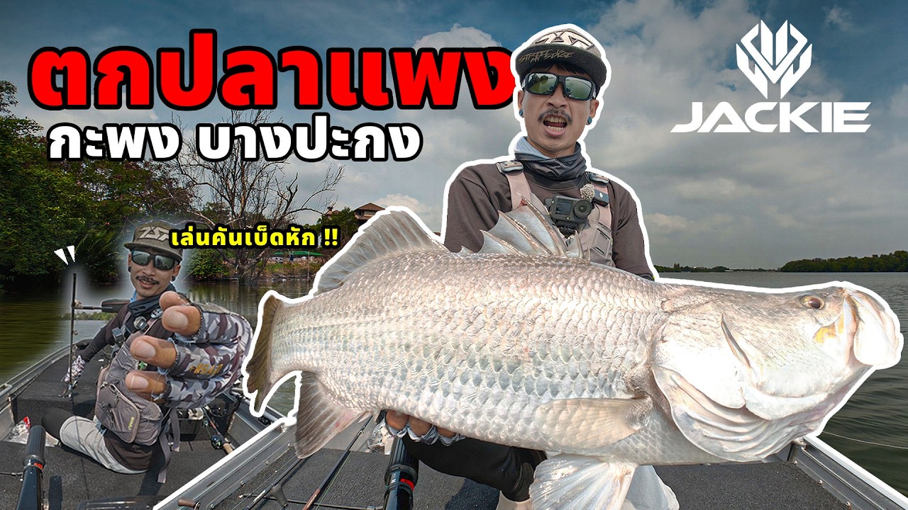 ตกปลาแพง กะพงบางปะกง เล่นคันหัก!!