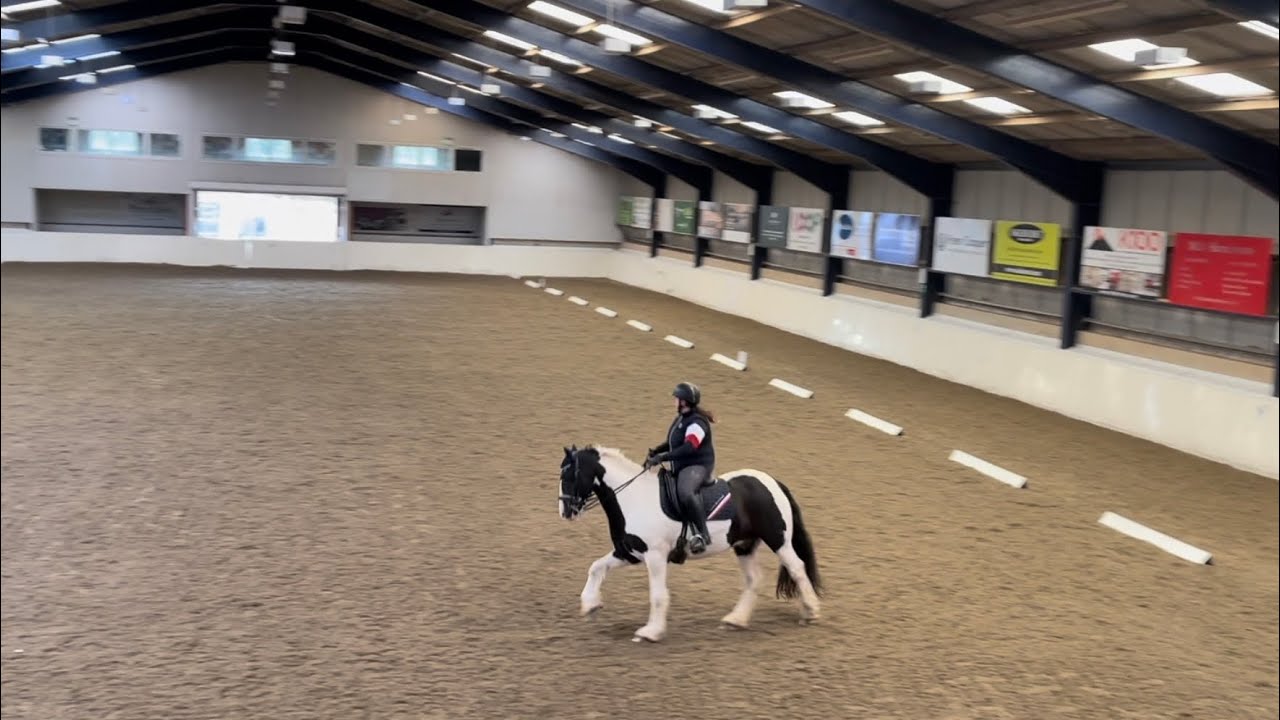 Dressage to music Elementary, Eriders, August 2023