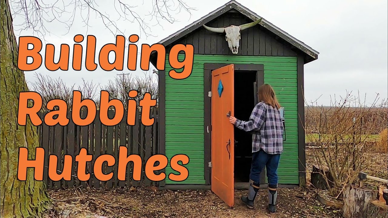 Rabbitry: Building Hutches
