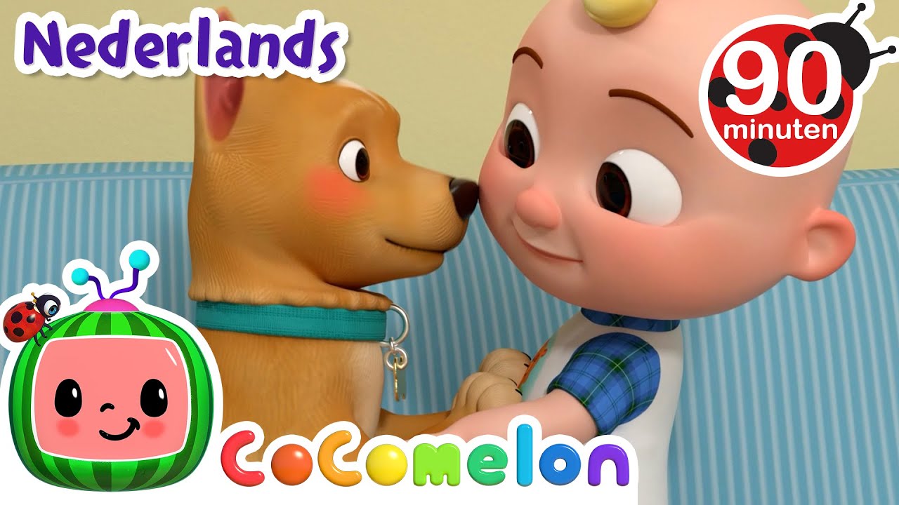 Waar is de hond? | CoComelon Nederlands - Kinderliedjes
