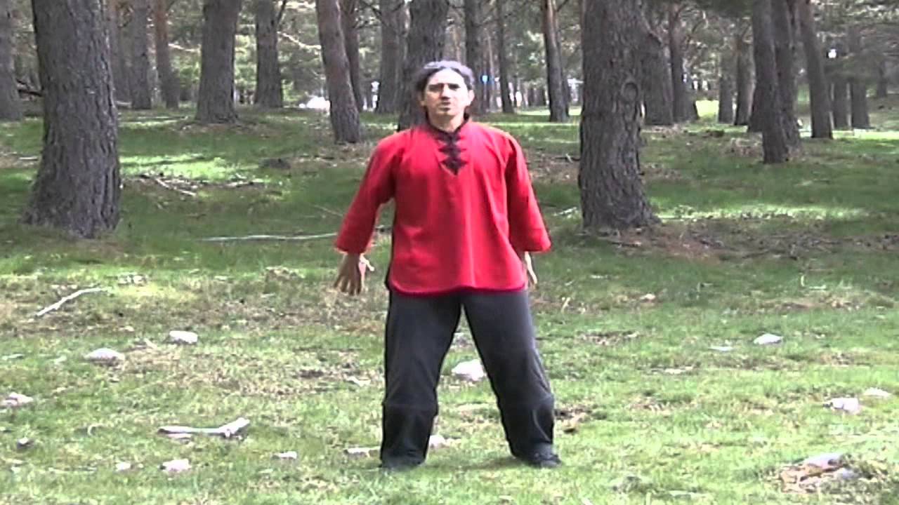 Curso de Qi Gong: 28 Ejercicios para la Transformación de los Tendones (Yi Jin Ching)