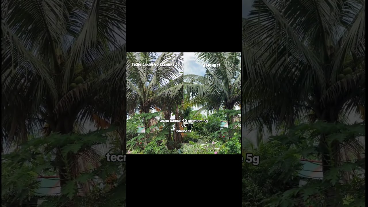 iPhone 11 vs Camon 40 Premiere 5G ☀️📸 Daylight camera test &mdash; alin ang mas malinaw sa liwanag?