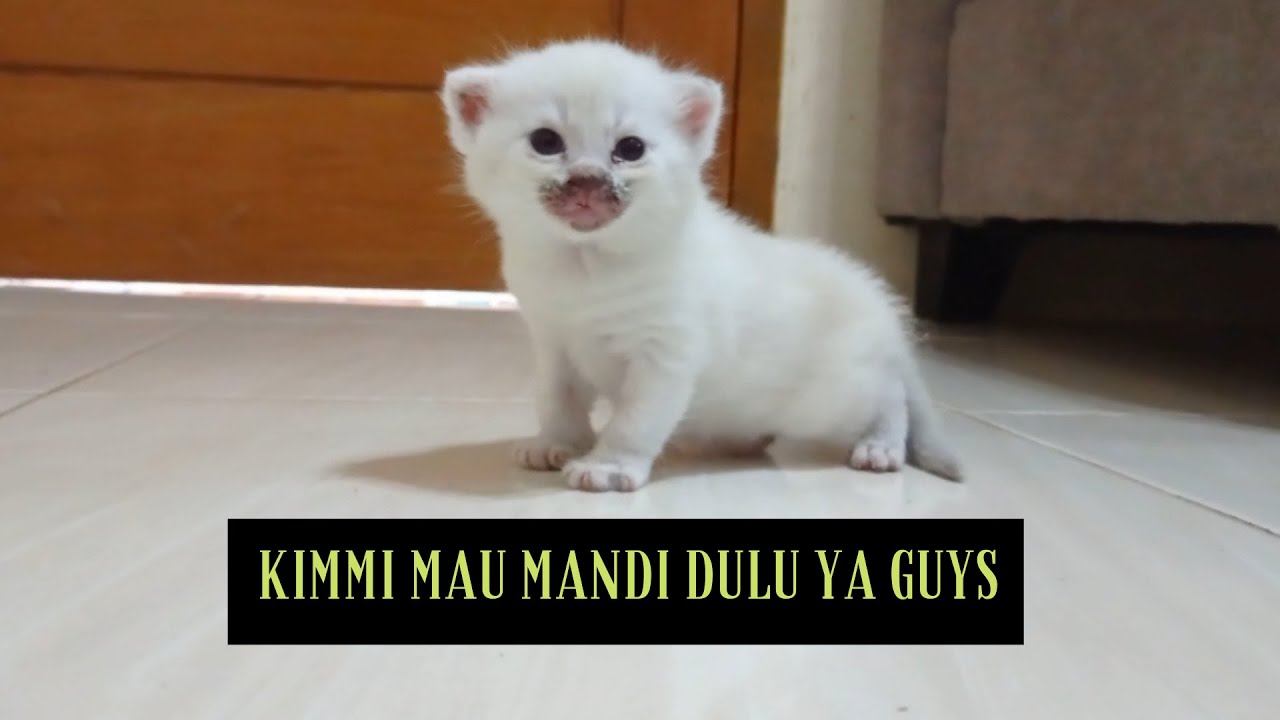 Kimmi suka di mandiin oleh ibunya